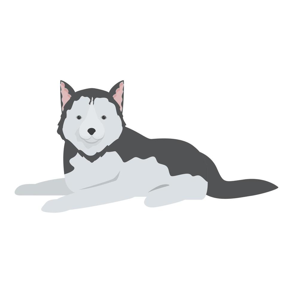 Cute siberian husky dog lying down on white background vector