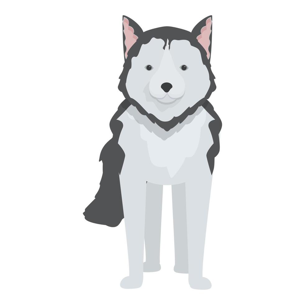 Adorable husky dog standing on white background vector