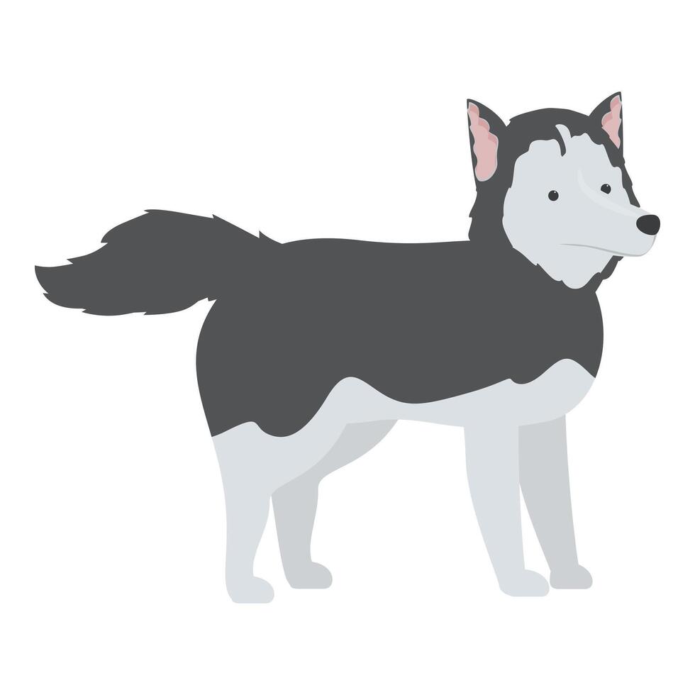 Beautiful siberian husky dog standing illustration vector