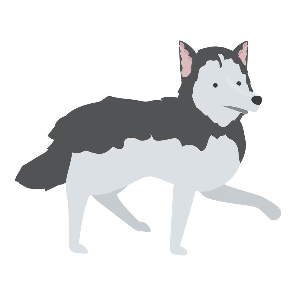 Adorable siberian husky dog walking illustration vector