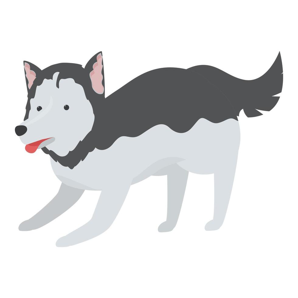 Playful siberian husky dog walking with tongue out illustration vector