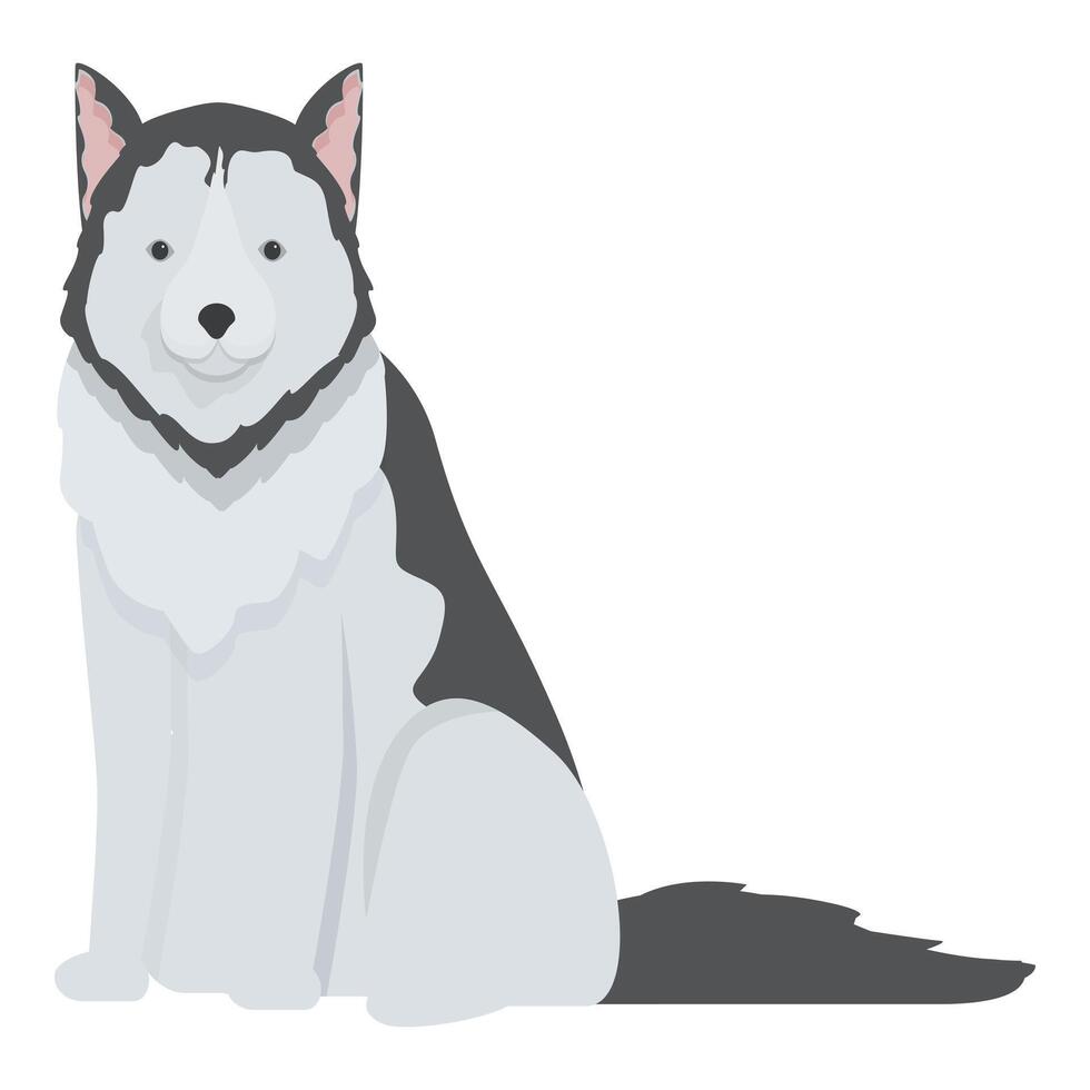 Beautiful husky dog sitting and looking forward vector