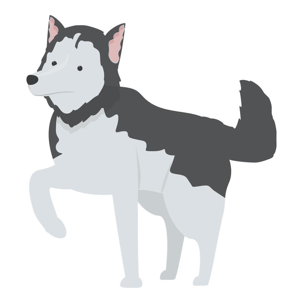Siberian husky dog standing raising paw vector