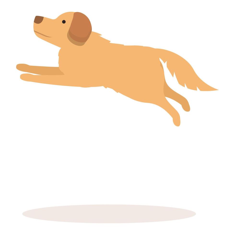 Happy golden retriever jumping in the air vector