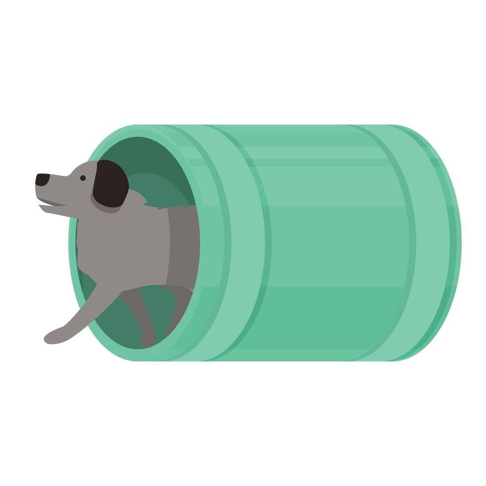 Dog agility training equipment, grey dog running through a tunnel vector