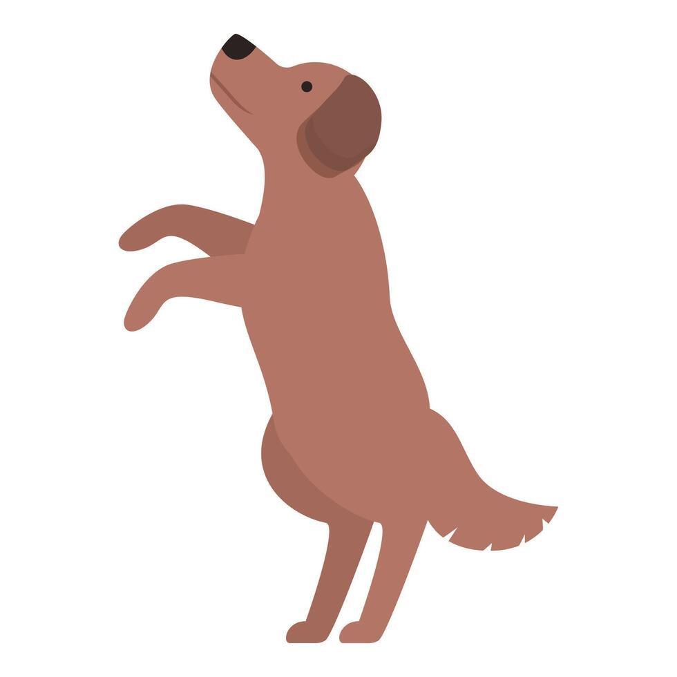 Cute brown dog standing on two legs looking up vector