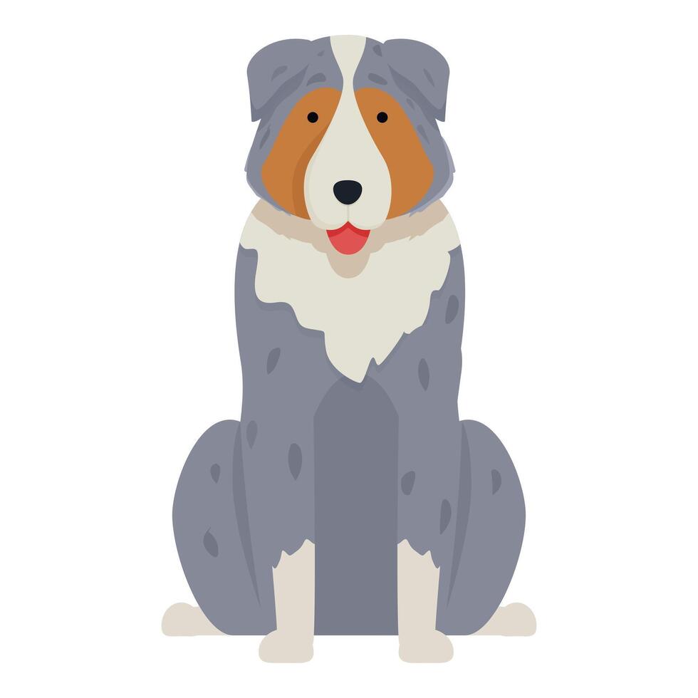 Happy australian shepherd dog sitting, showing tongue, domestic animal vector