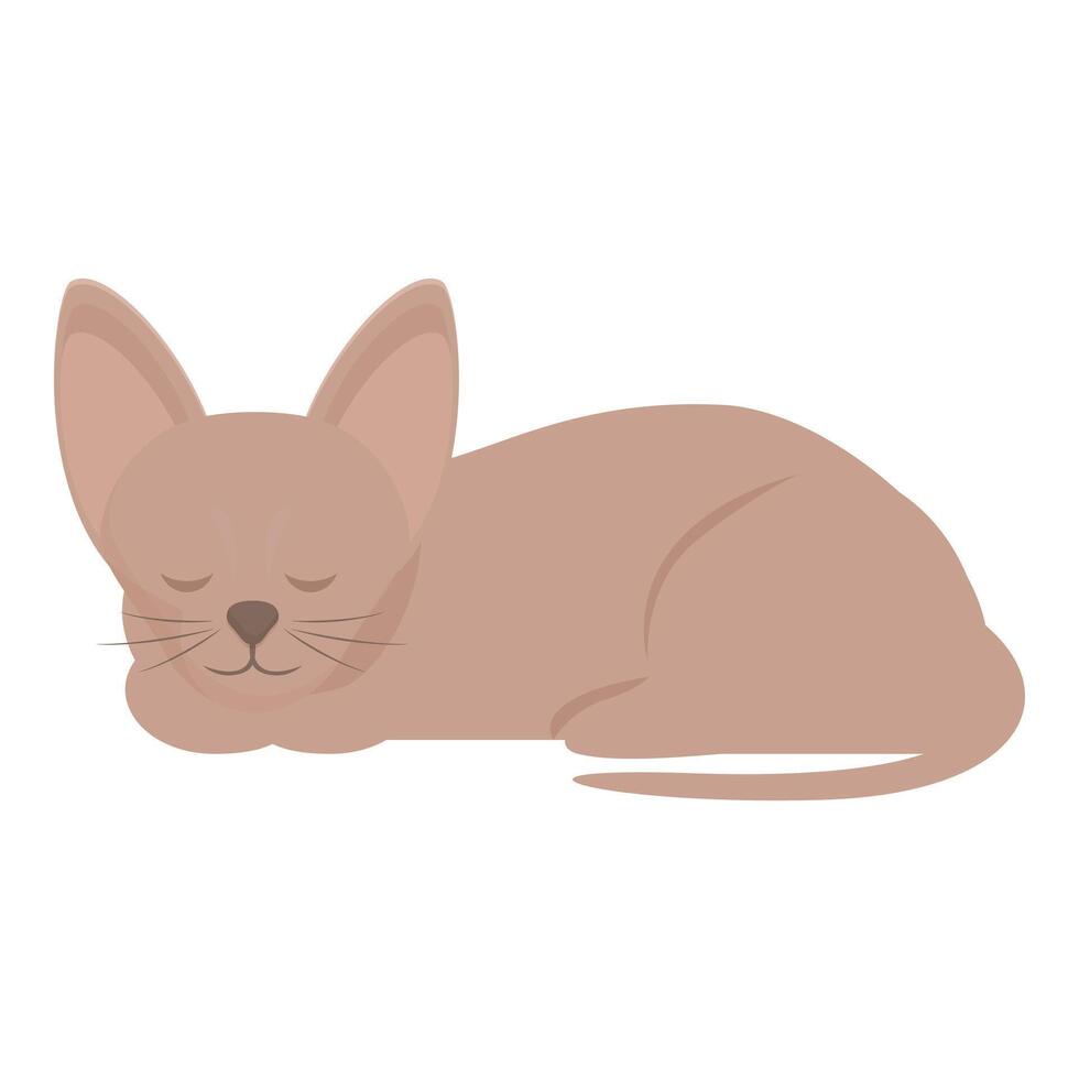 Cute brown cat sleeping with eyes closed on white background vector