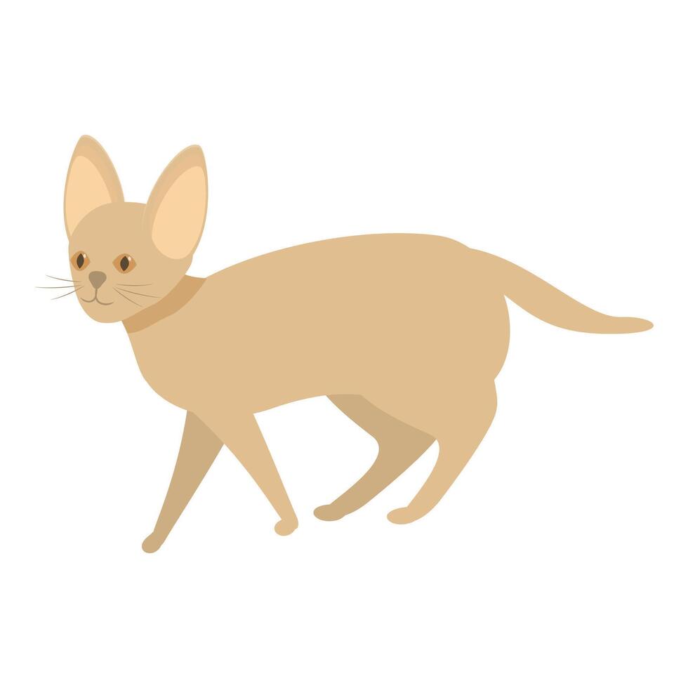 Abyssinian cat walking with collar minimalist illustration vector