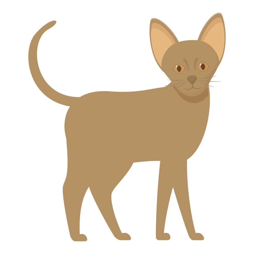 Abyssinian cat standing gracefully with tail raised vector