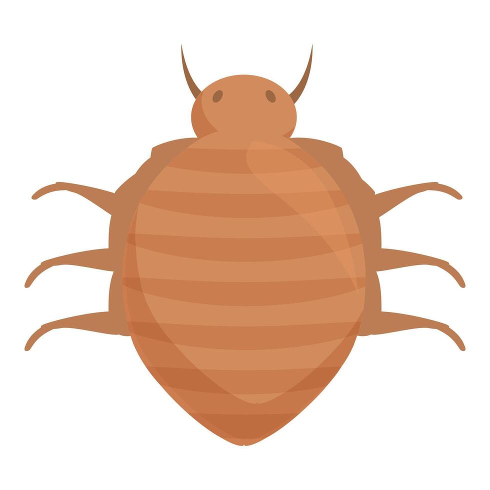 Bed bug crawling, showing its anatomy vector