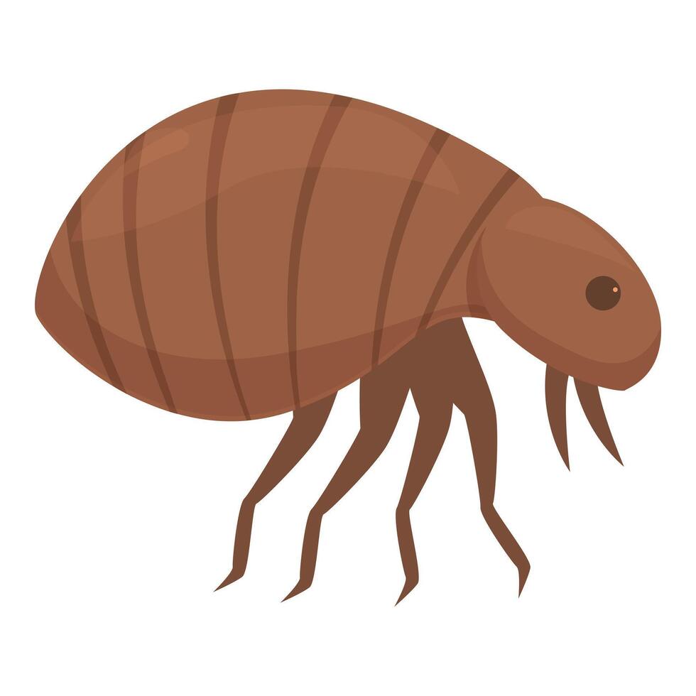 Flea insect walking spreading disease through bite vector
