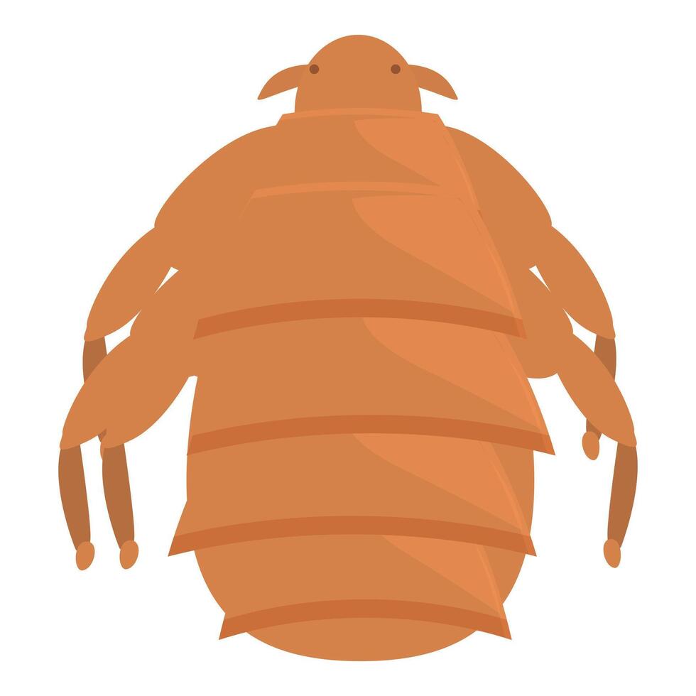 Louse insect spreading infection through bite on skin vector