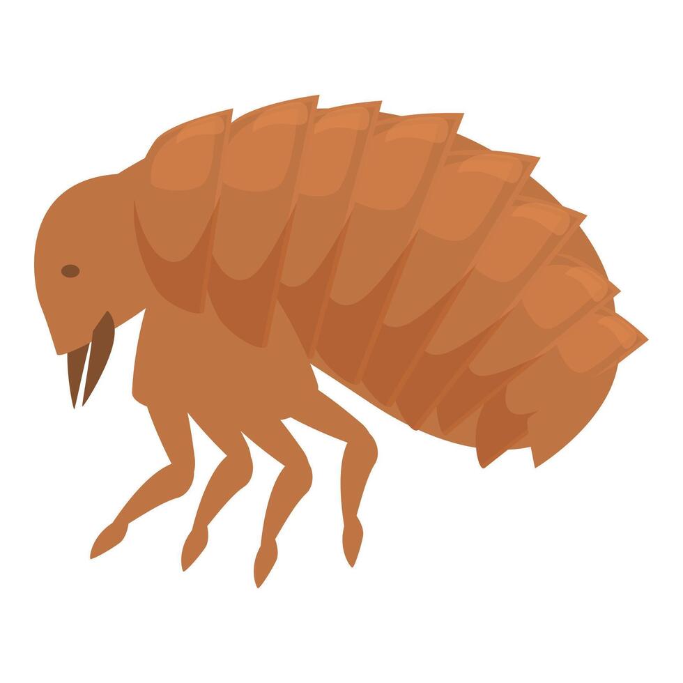 Flea insect walking spreading disease through bite vector