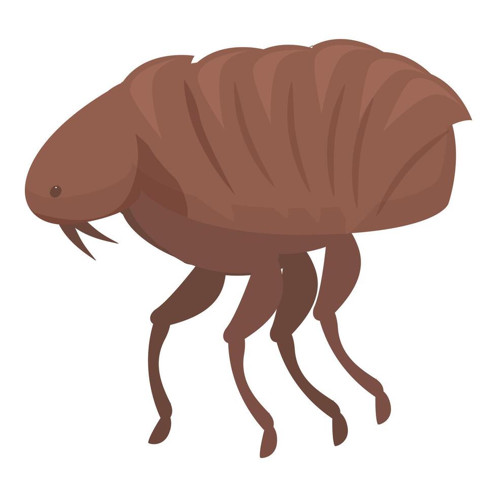 Brown flea insect walking side view vector