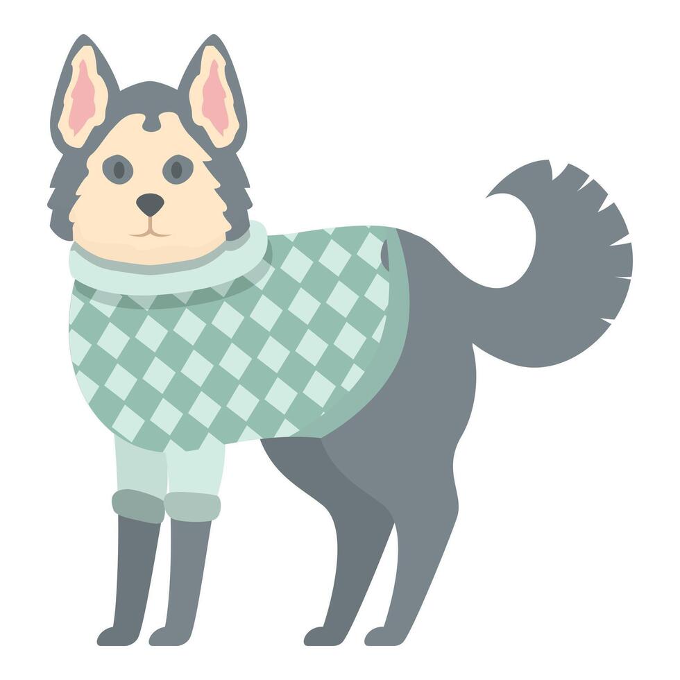 Husky dog wearing green winter sweater standing vector