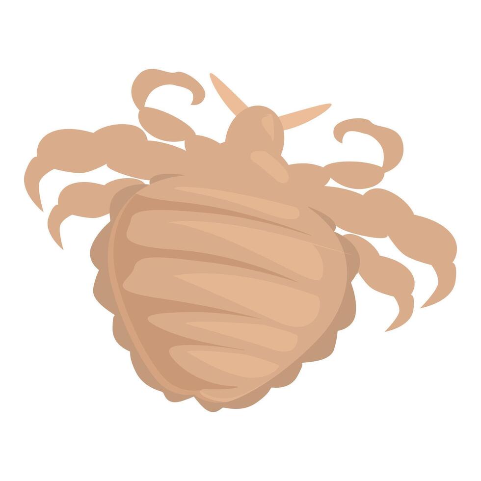 Pubic louse crawling showing its tiny claws vector