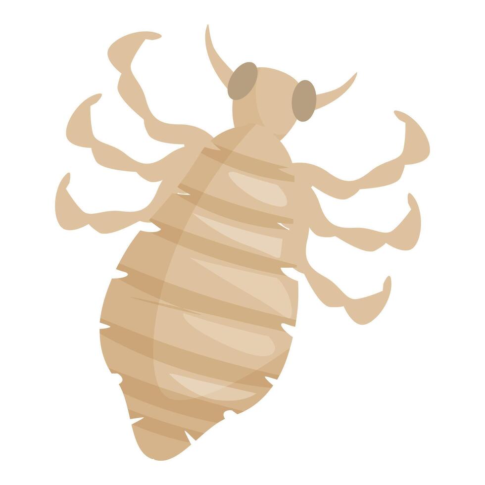 Louse insect spreading disease through touching spreading germs vector