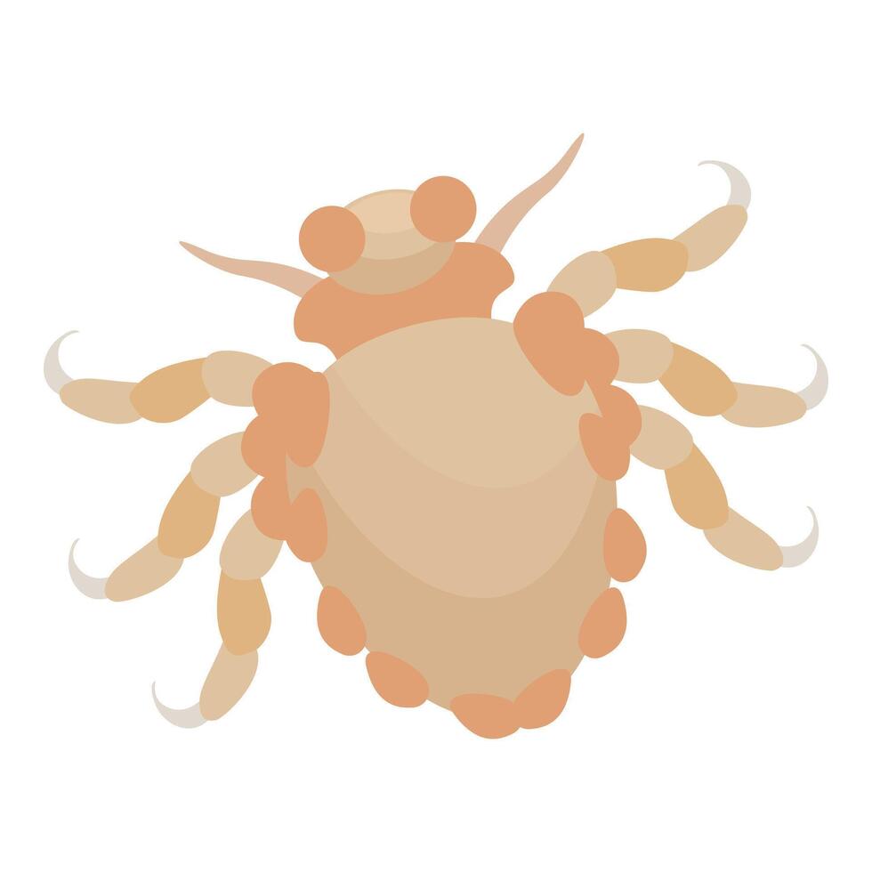 Pubic louse crawling, showing its anatomy vector