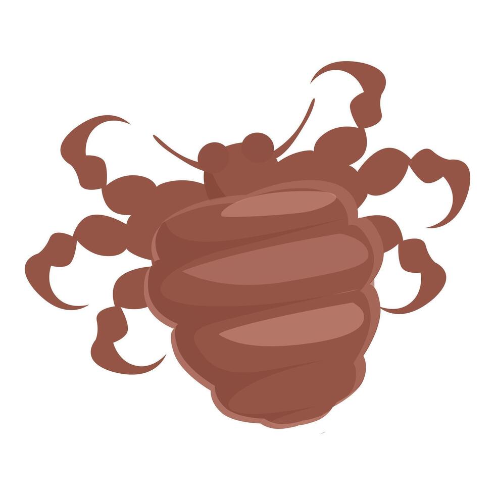 Brown louse insect spreading lyme disease crawling on white background vector