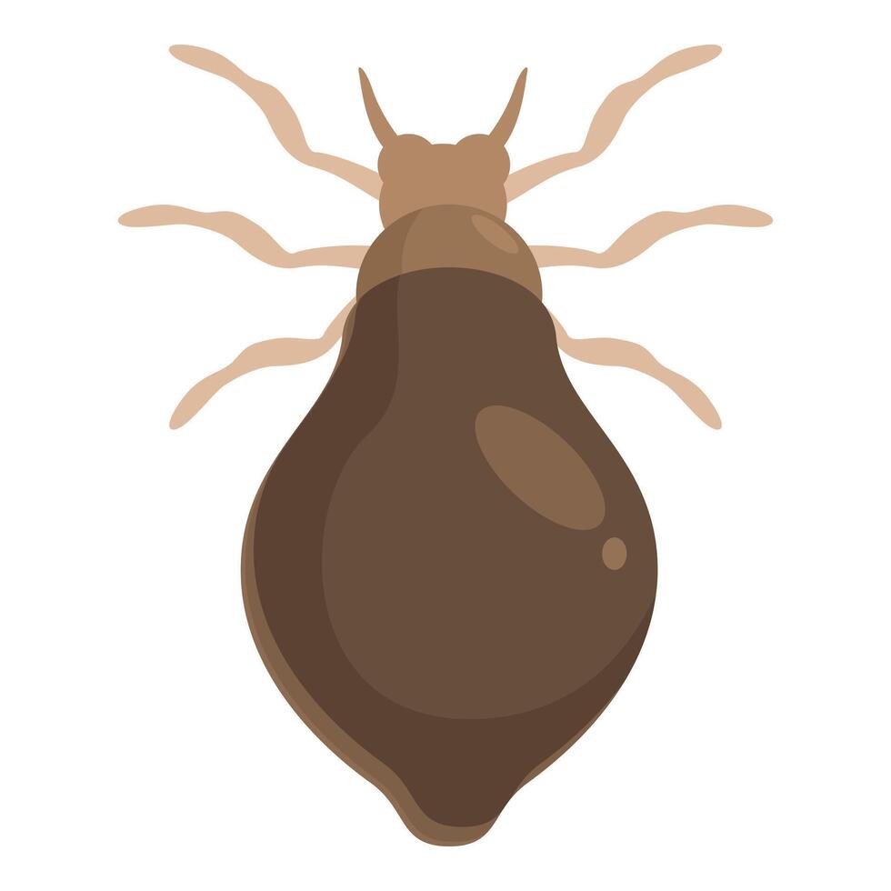 Deer ked crawling showing large abdomen and tiny head vector