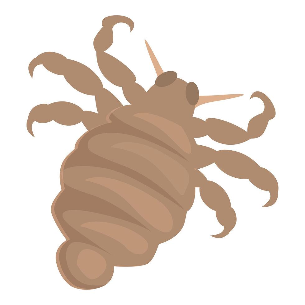 Louse insect spreading infection through bite on skin vector