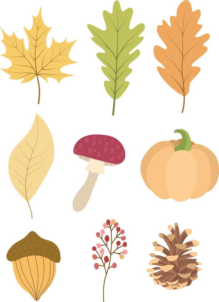 Hand drawn autumn leaves elements. Autumn leaves. Maple leaves, pumpkins, berries and pinecones vector