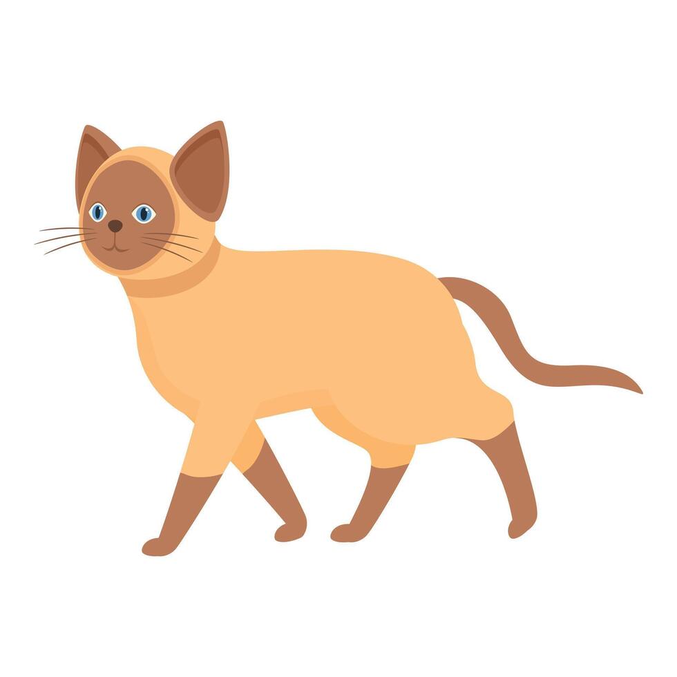 Siamese cat walking feline graceful mammal pet vector