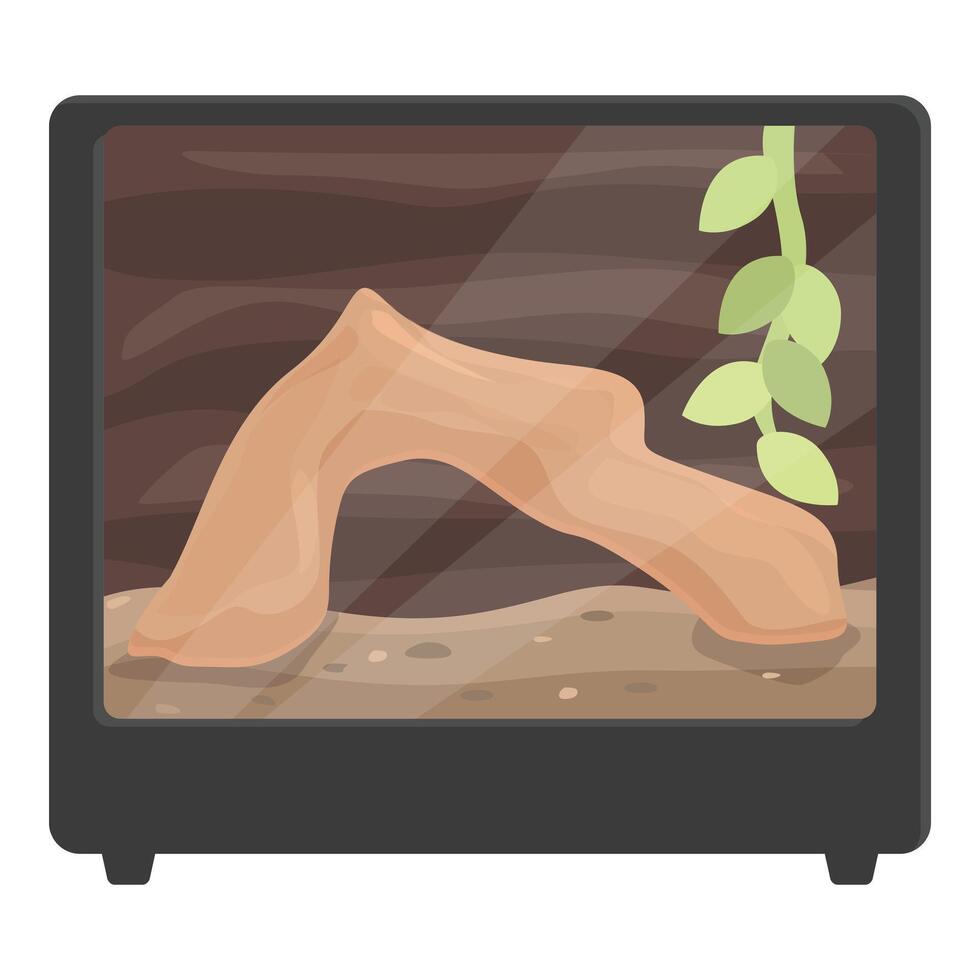 Empty terrarium with wooden bridge waiting for reptile pet vector
