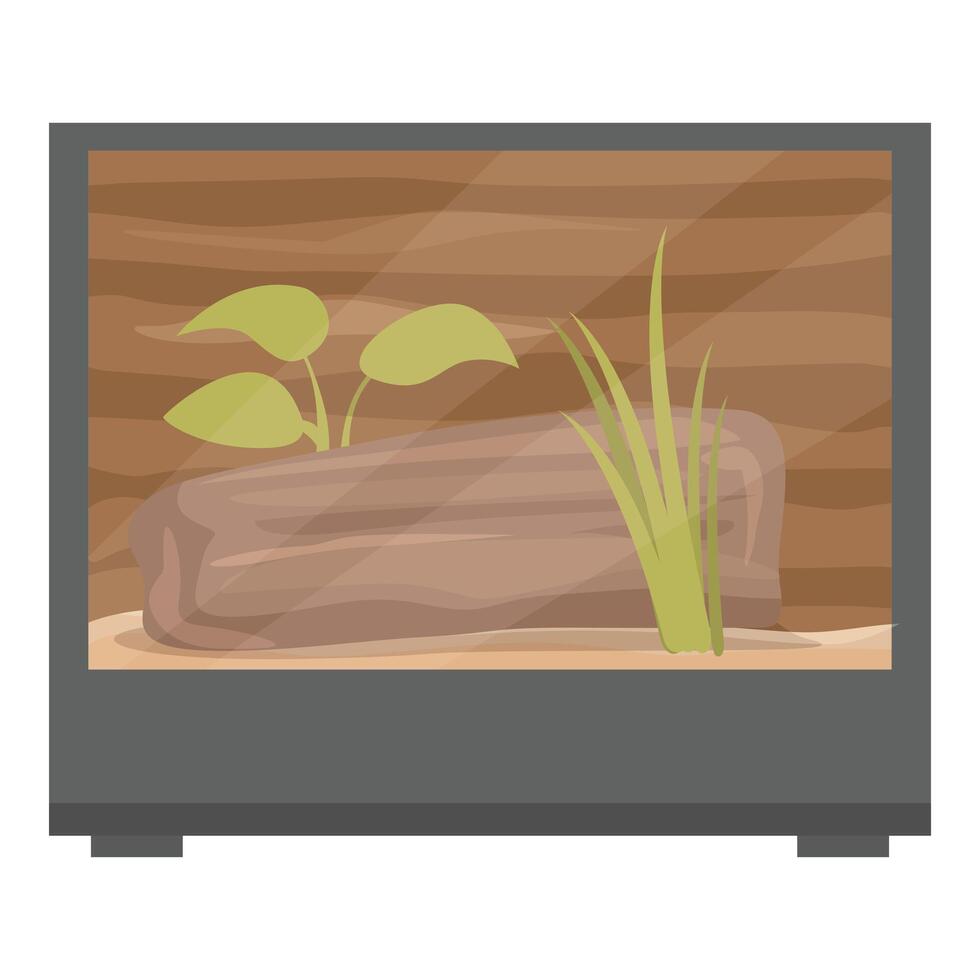 Empty terrarium with substrate, plants and wooden background vector