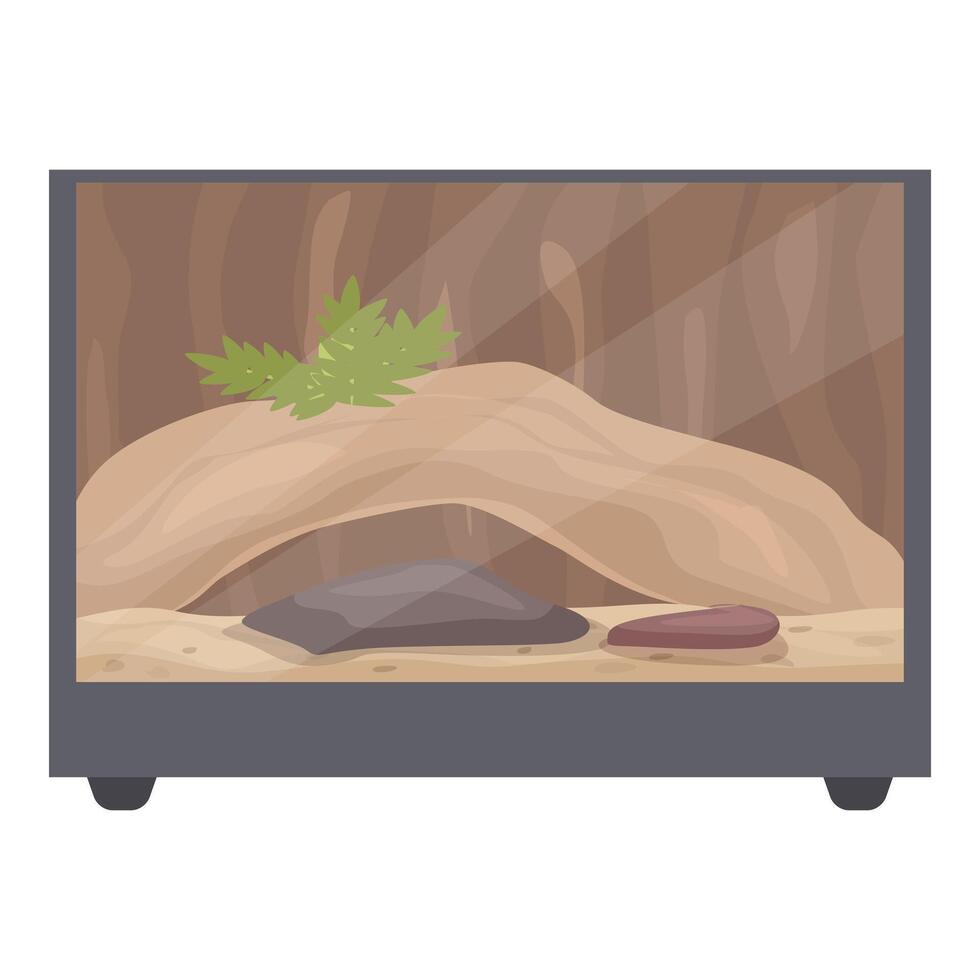 Empty terrarium waiting for reptile or amphibian pet vector