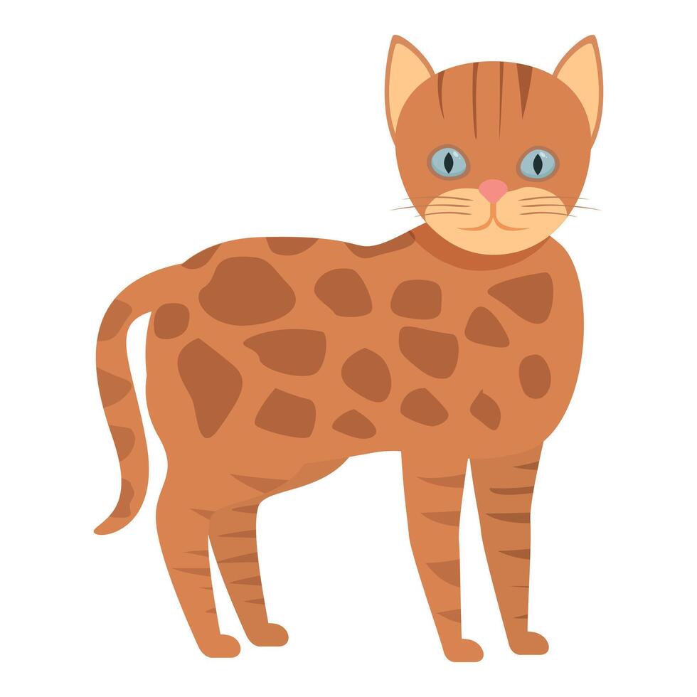 Cute tabby cat standing and looking forward with blue eyes vector