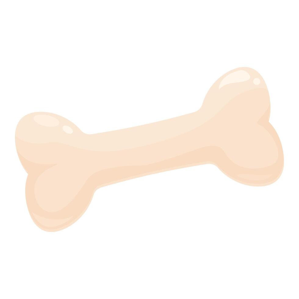 Shiny dog bone lying isolated on white background vector