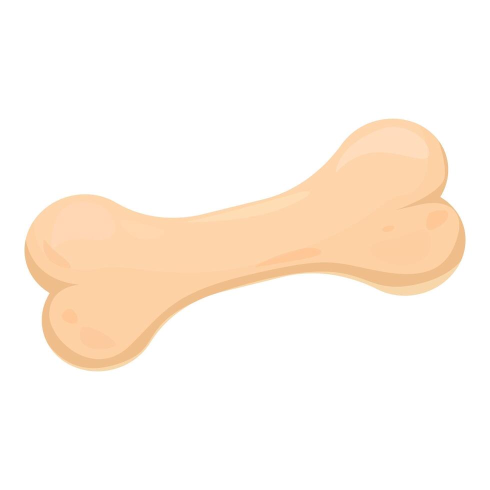 Big dog bone for chewing and playing on white background vector