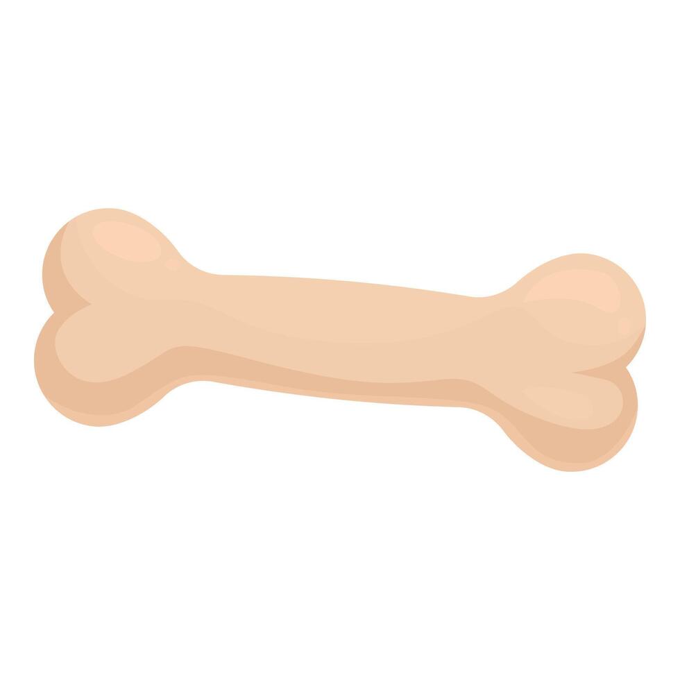 Cartoon drawing of a bone vector