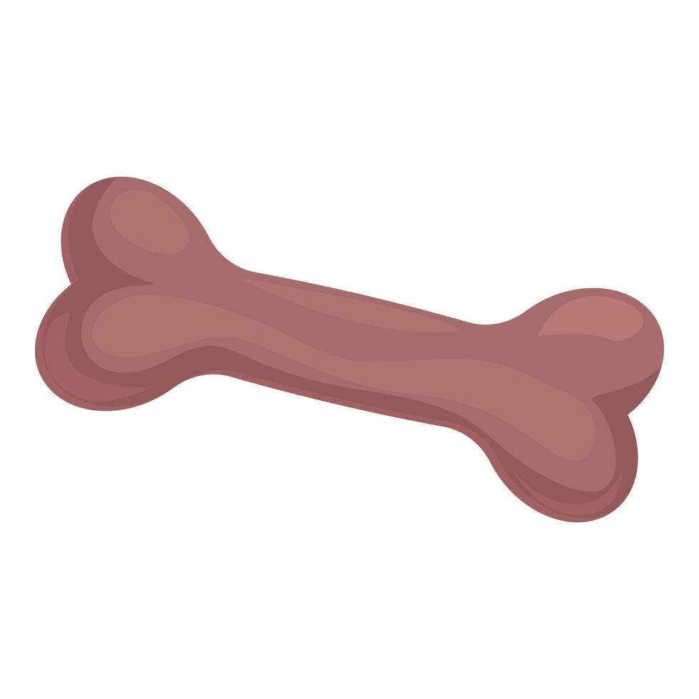 Brown dog bone for chewing and playing vector