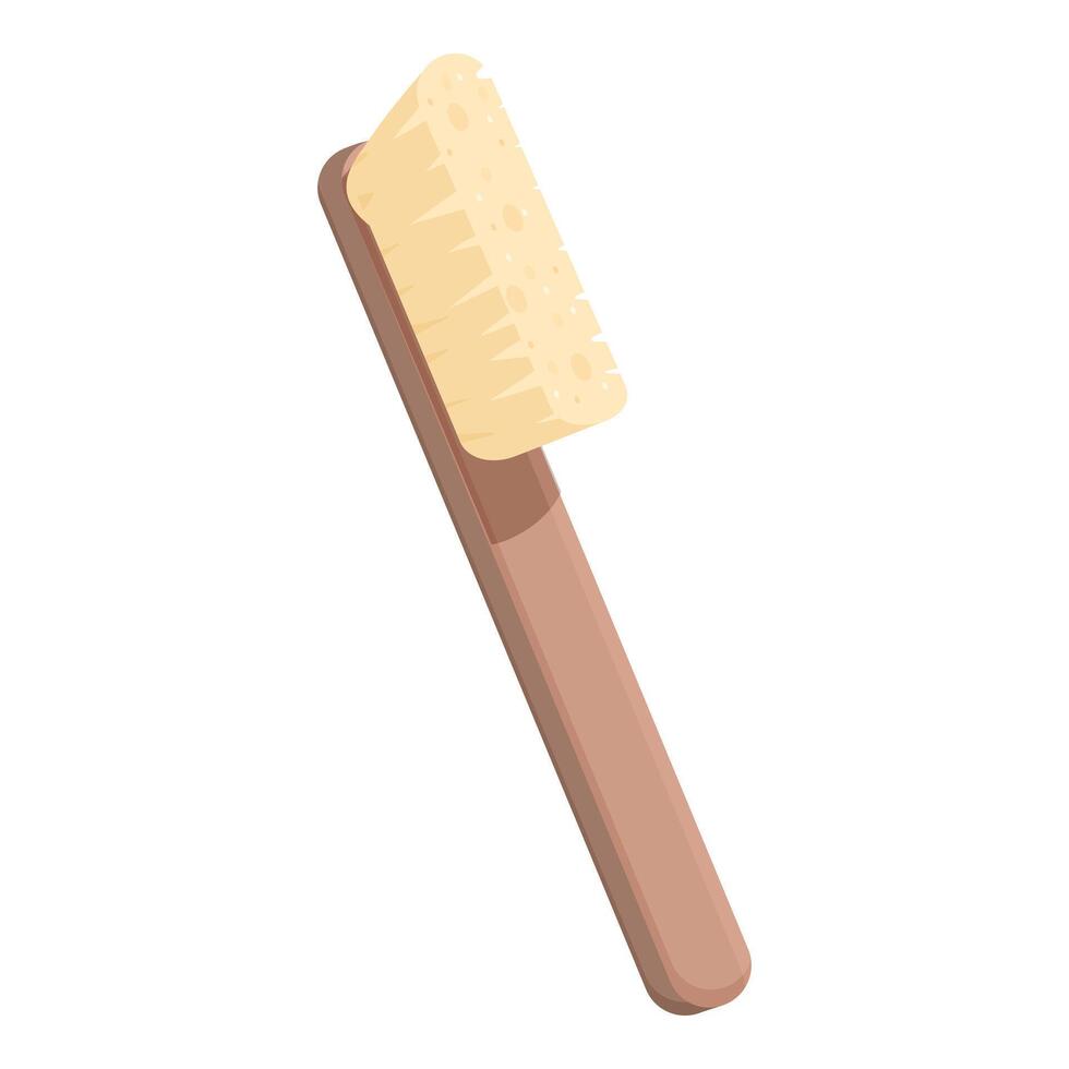 Cleaning brush with wooden handle for scrubbing and washing vector