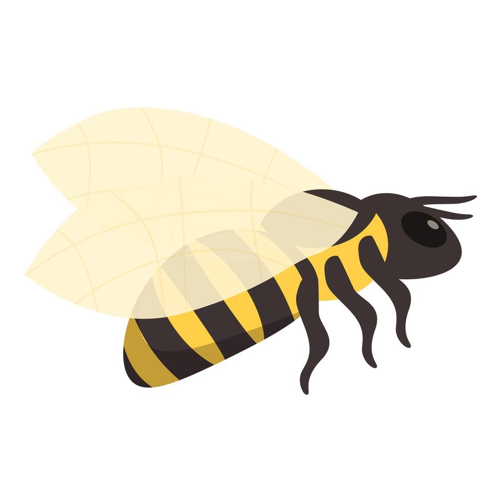 Cartoon bee flying with spread wings vector