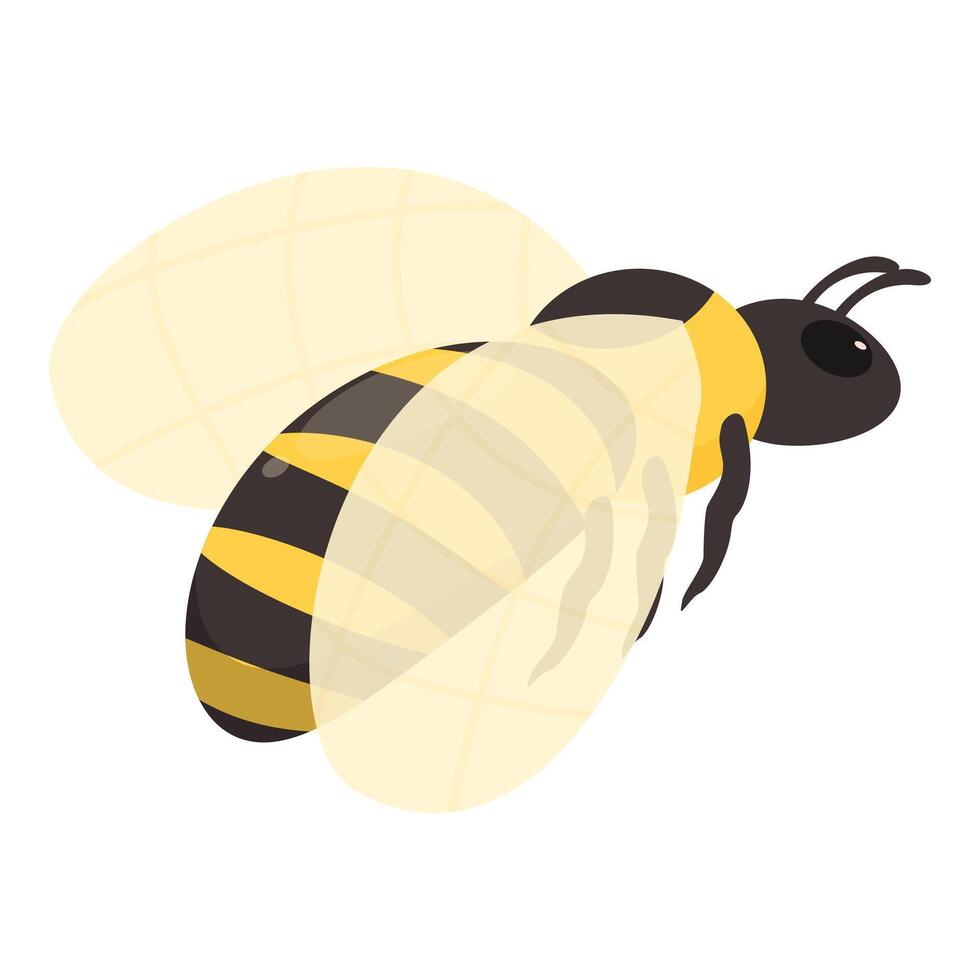 Honey bee flying with spread wings illustration vector