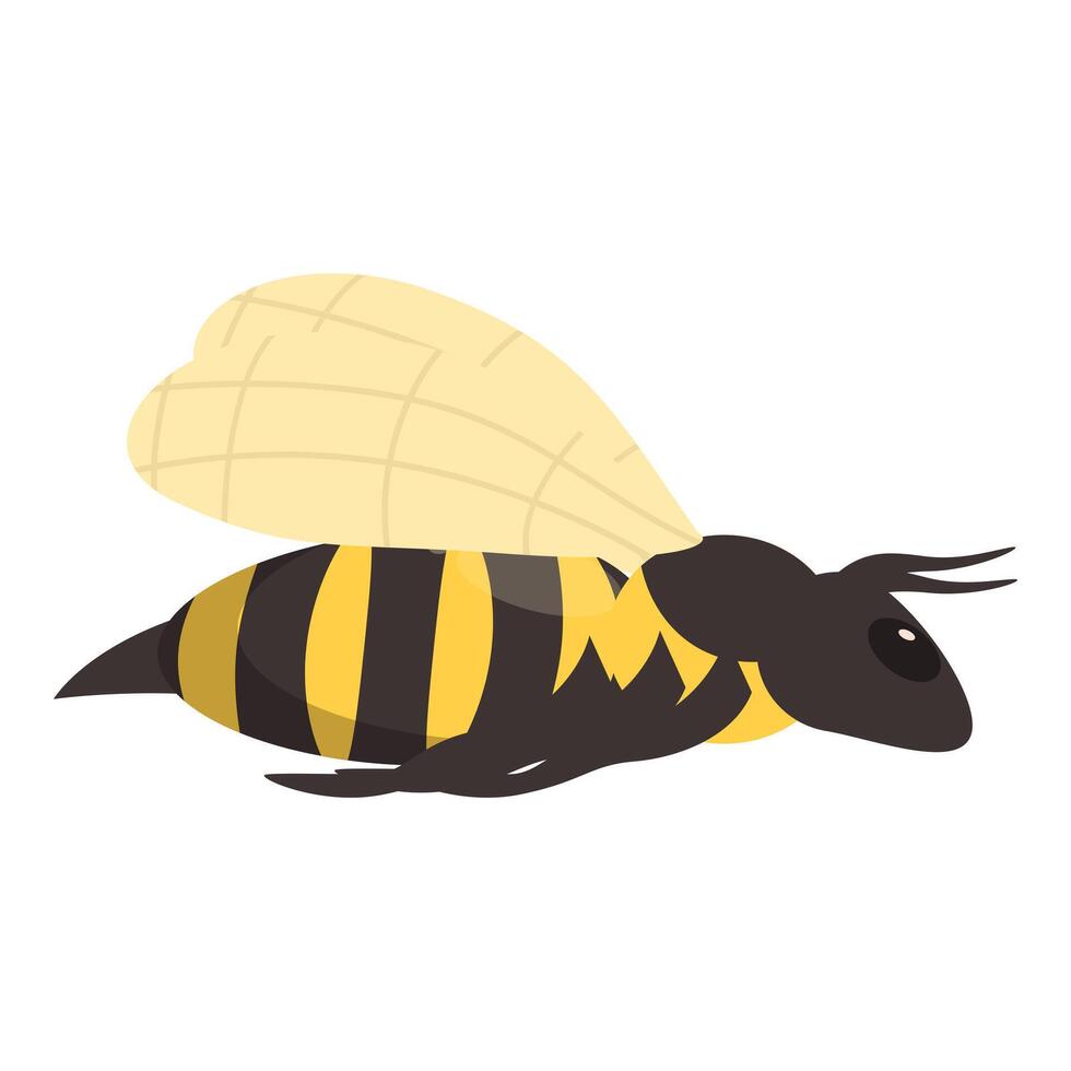 Honey bee flying with spread wings illustration vector