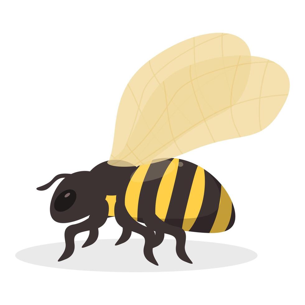 Cute cartoon bee standing with spread wings vector