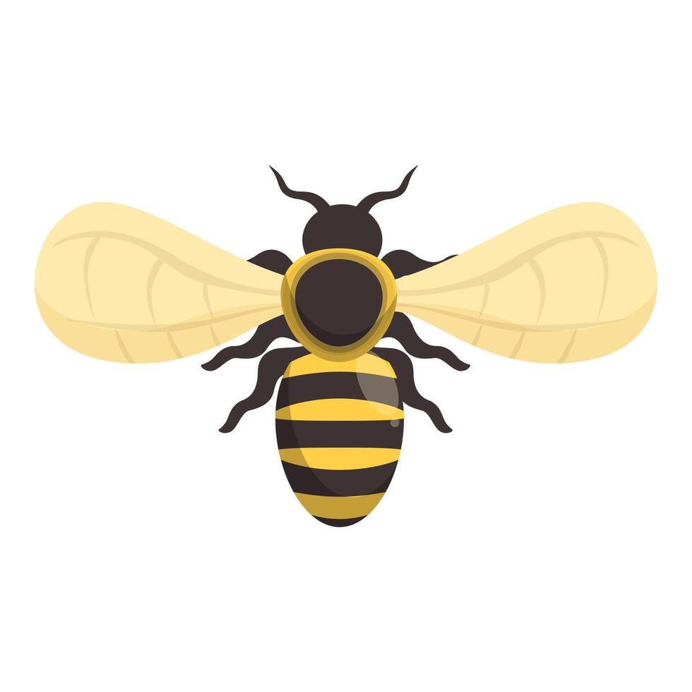 Cute cartoon bee spreading its wings and flying vector
