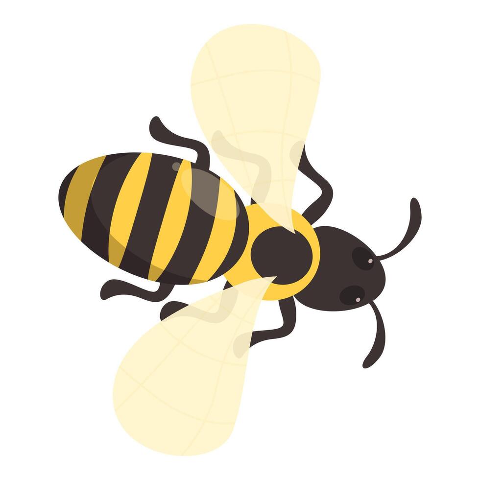 Friendly cartoon bee is flying happily vector