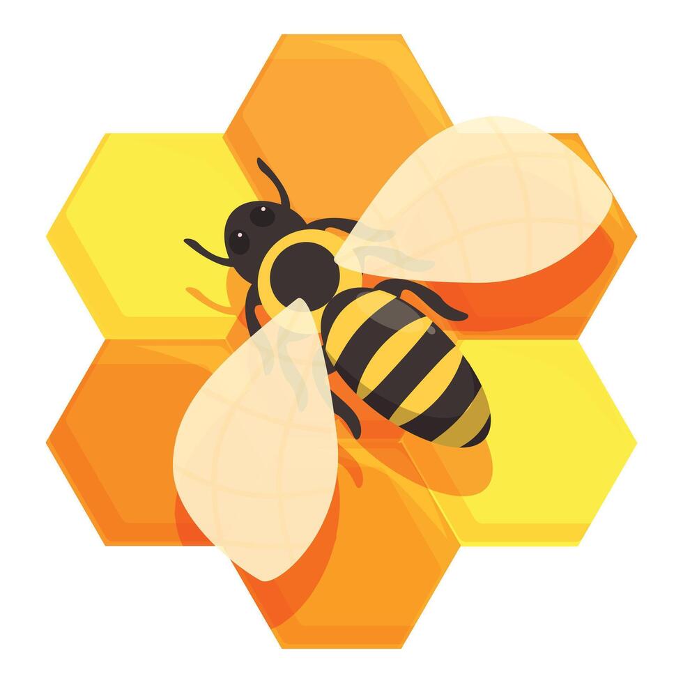 Bee flying over honeycomb structure, healthy organic honey production vector