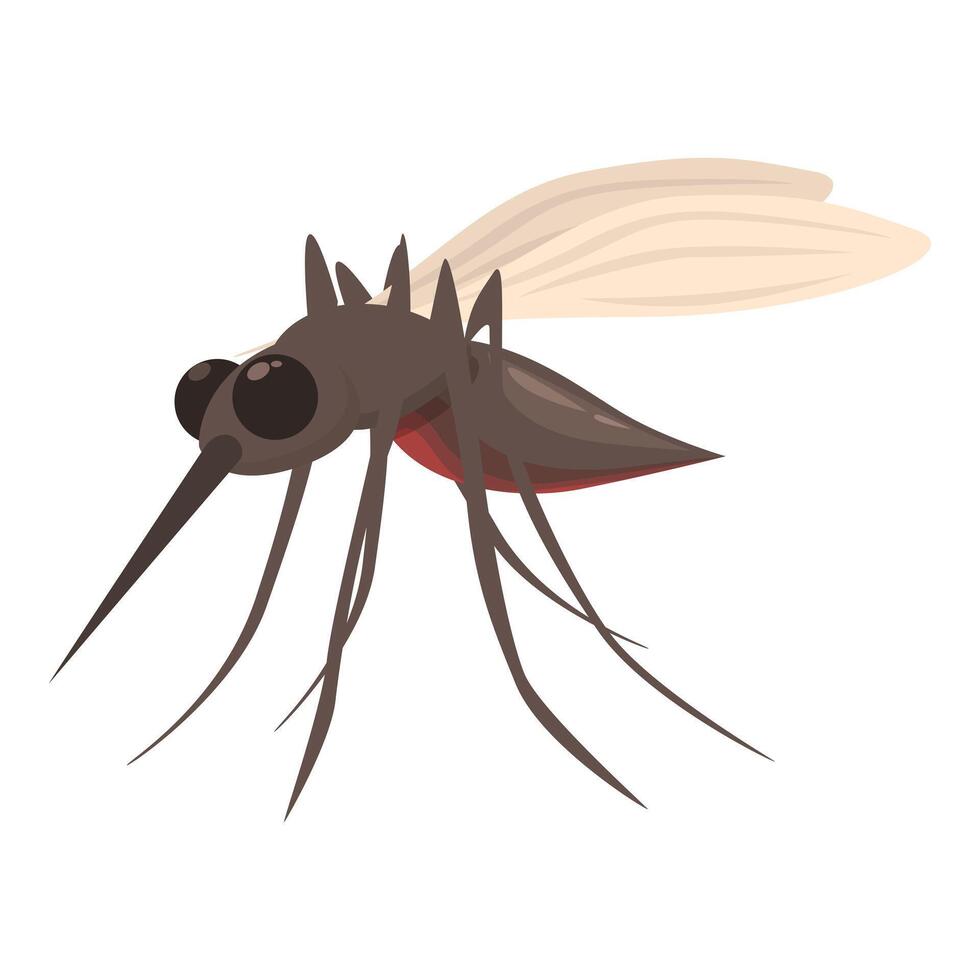 Mosquito full of blood is standing on its thin legs vector