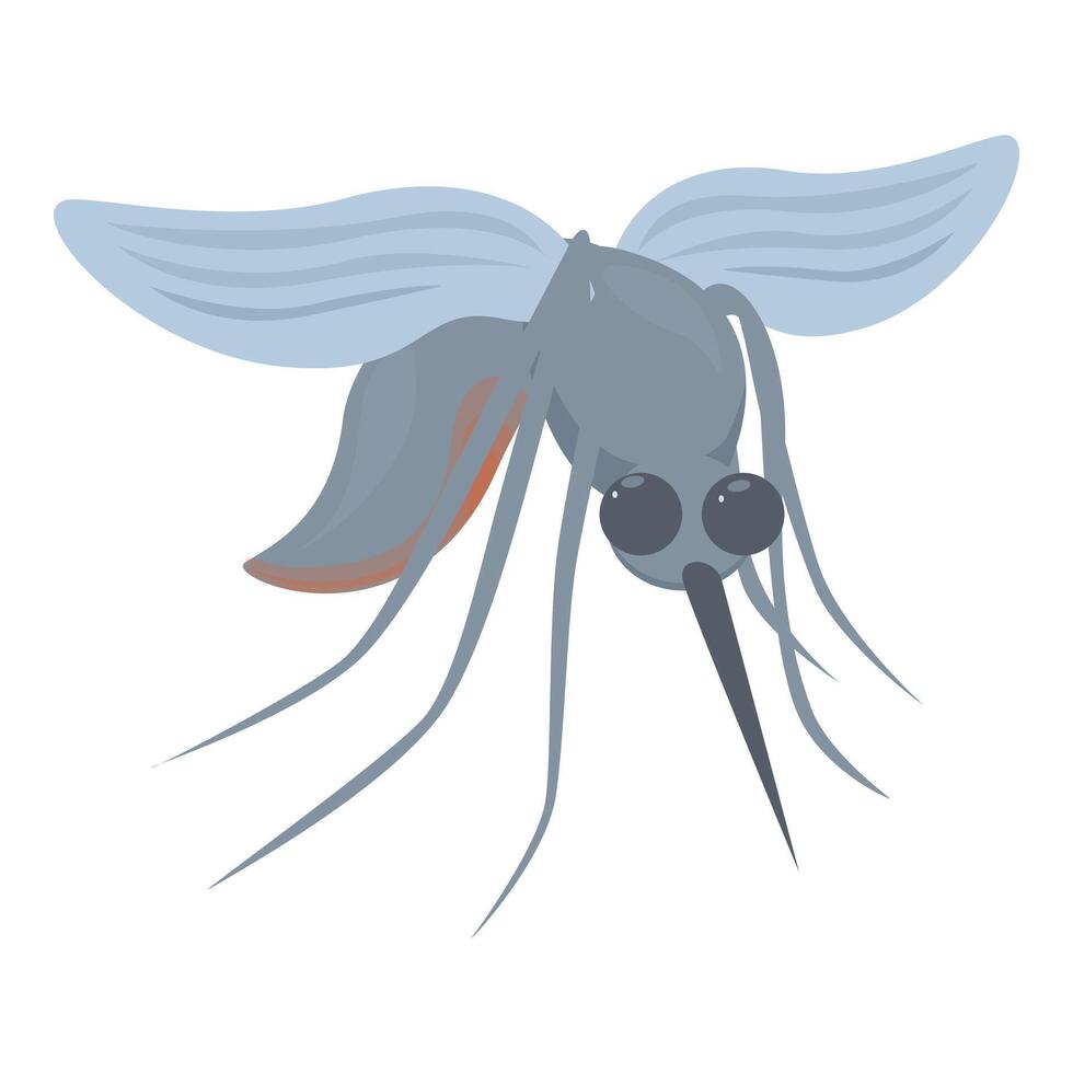 Gray mosquito spreading malaria disease vector