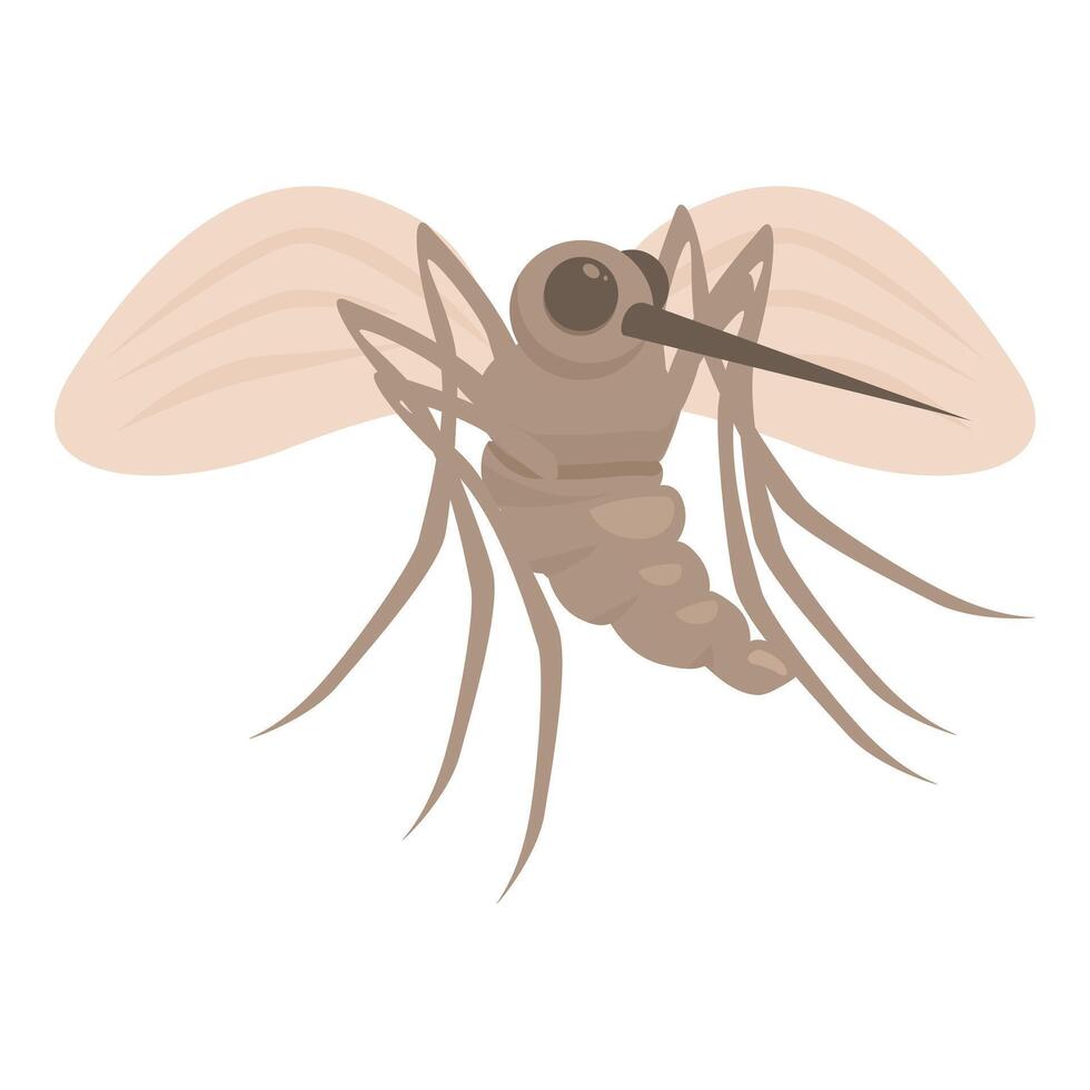 Brown mosquito spreading malaria with its stinging needle vector