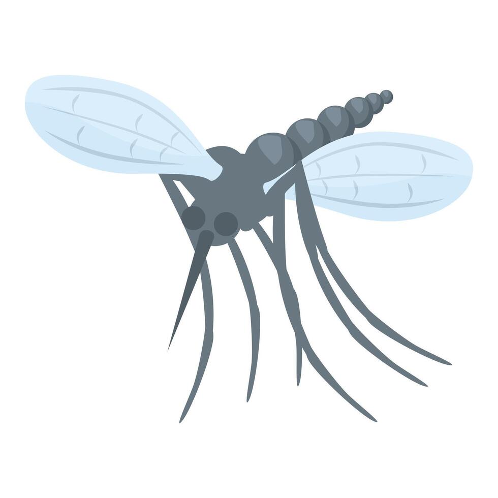 Dangerous mosquito spreading malaria flying insect vector