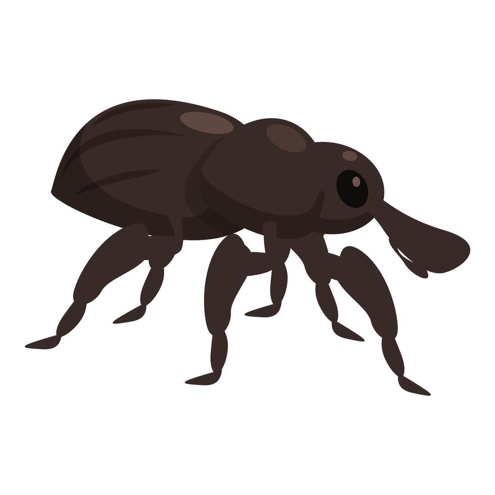 Big brown beetle walking on six legs vector