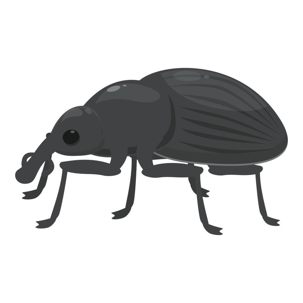 Black weevil standing on six legs illustration vector